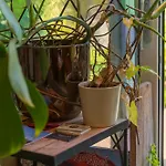 Apartment Cozy House - Fietsverhuur, Eigen Keuken En Badkamer Nimwegen