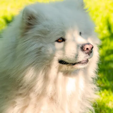 Cozy House - Fietsverhuur, Eigen Keuken En Badkamer * Nijmegen