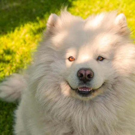 Apartman Cozy House - Fietsverhuur, Eigen Keuken En Badkamer