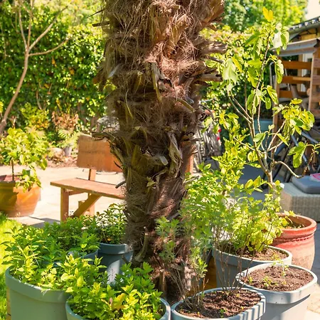 Apartamento Cozy House - Fietsverhuur, Eigen Keuken En Badkamer