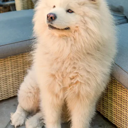 Cozy House - Fietsverhuur, Eigen Keuken En Badkamer Apartman *