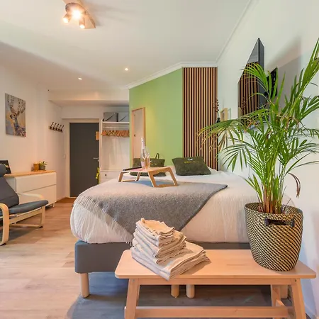 Cozy House - Leenfietsen, Eigen Keuken En Badkamer Apartment Nijmegen