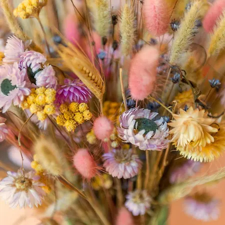 Cozy House - Fietsverhuur, Eigen Keuken En Badkamer * Nijmegen