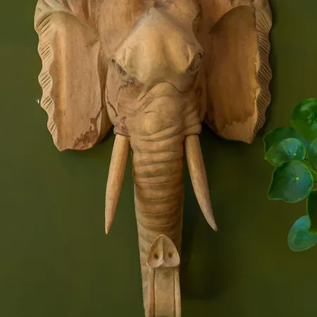 Cozy House - Fietsverhuur, Eigen Keuken En Badkamer Daire *