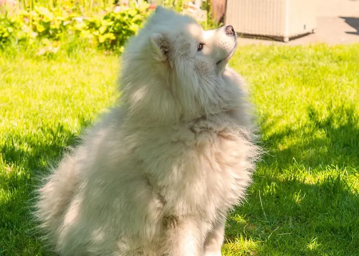 Cozy House - Fietsverhuur, Eigen Keuken En Badkamer Nijmegen