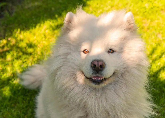 Apartamento Cozy House - Fietsverhuur, Eigen Keuken En Badkamer