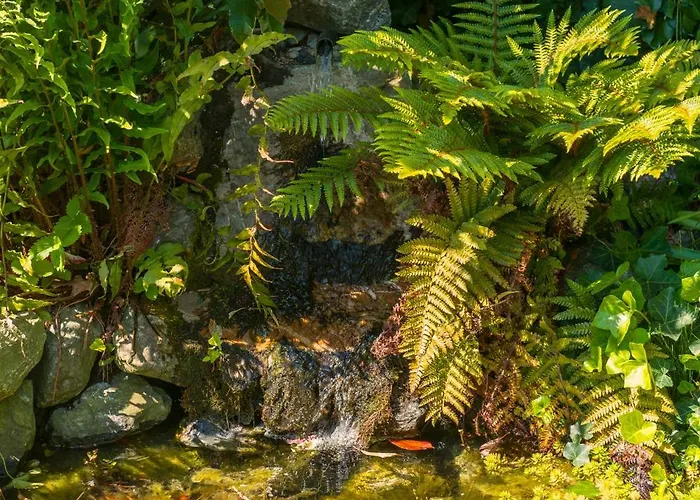 Apartment Cozy House - Fietsverhuur, Eigen Keuken En Badkamer Nijmegen