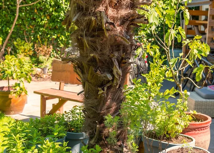 Apartment Cozy House - Fietsverhuur, Eigen Keuken En Badkamer