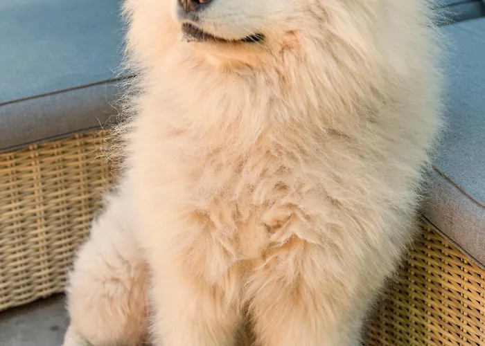 Cozy House - Fietsverhuur, Eigen Keuken En Badkamer Apartamento *