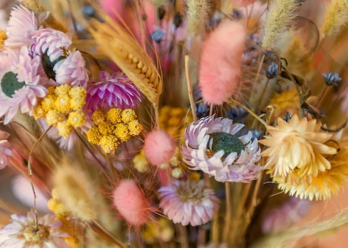 Cozy House - Fietsverhuur, Eigen Keuken En Badkamer * Nijmegen