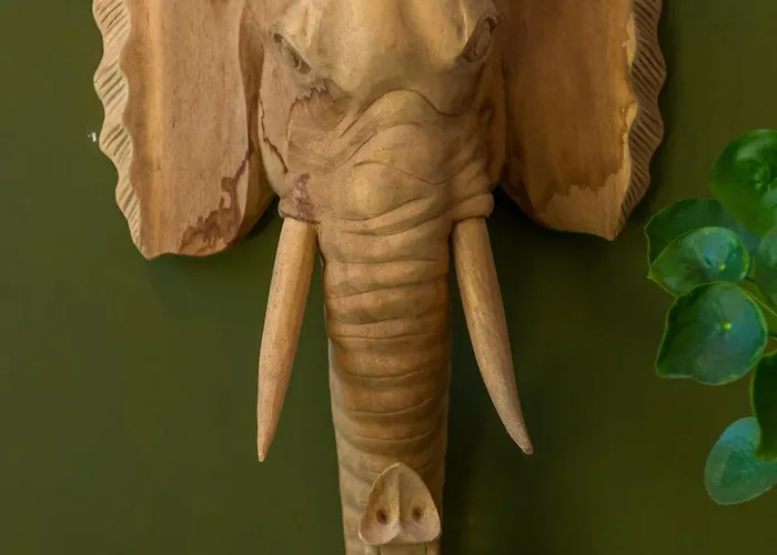 Cozy House - Fietsverhuur, Eigen Keuken En Badkamer Lägenhet *