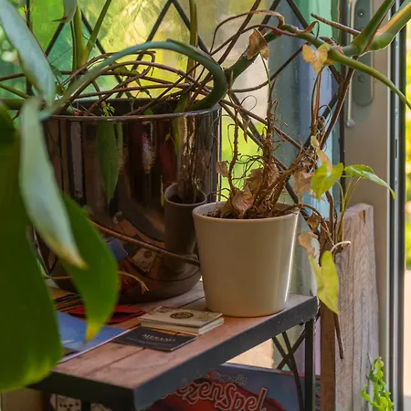 Appartement Cozy House - Leenfietsen, Eigen Keuken En Badkamer Nijmegen
