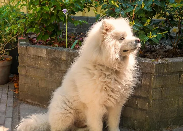 Cozy House - Fietsverhuur, Eigen Keuken En Badkamer *