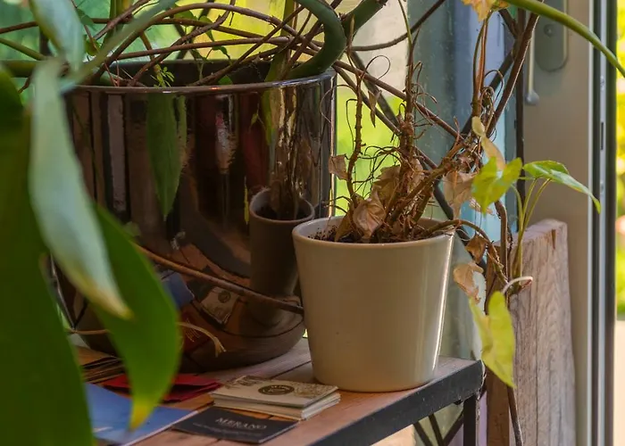 Appartamento Cozy House - Fietsverhuur, Eigen Keuken En Badkamer Nimega